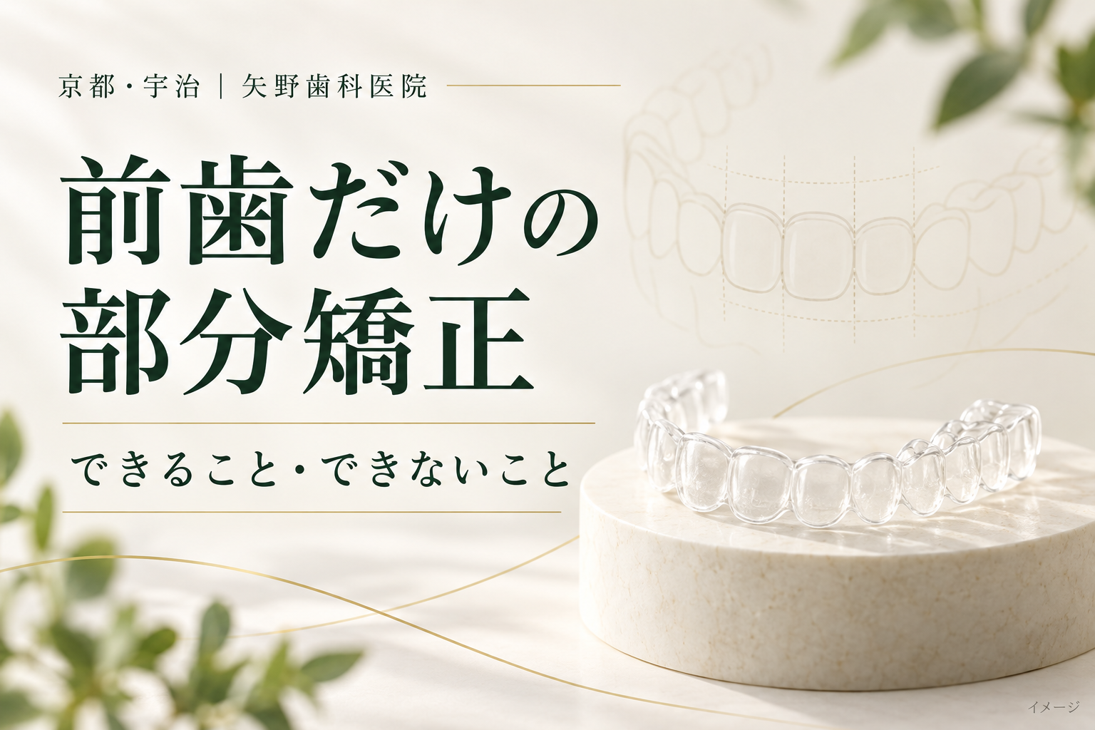 前歯だけの部分矯正の解説記事イメージ