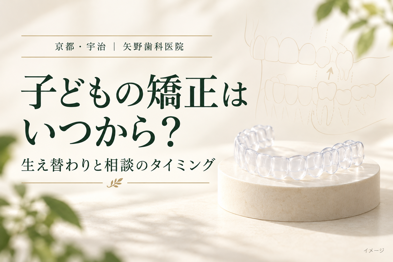 子どもの矯正はいつから？の解説記事イメージ