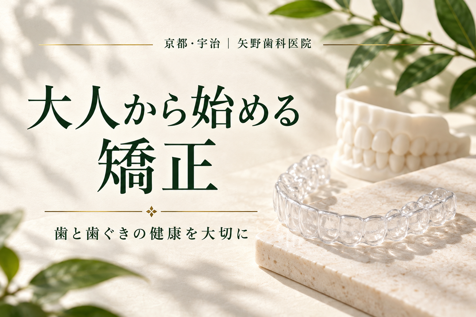 大人から始める矯正の解説イメージ